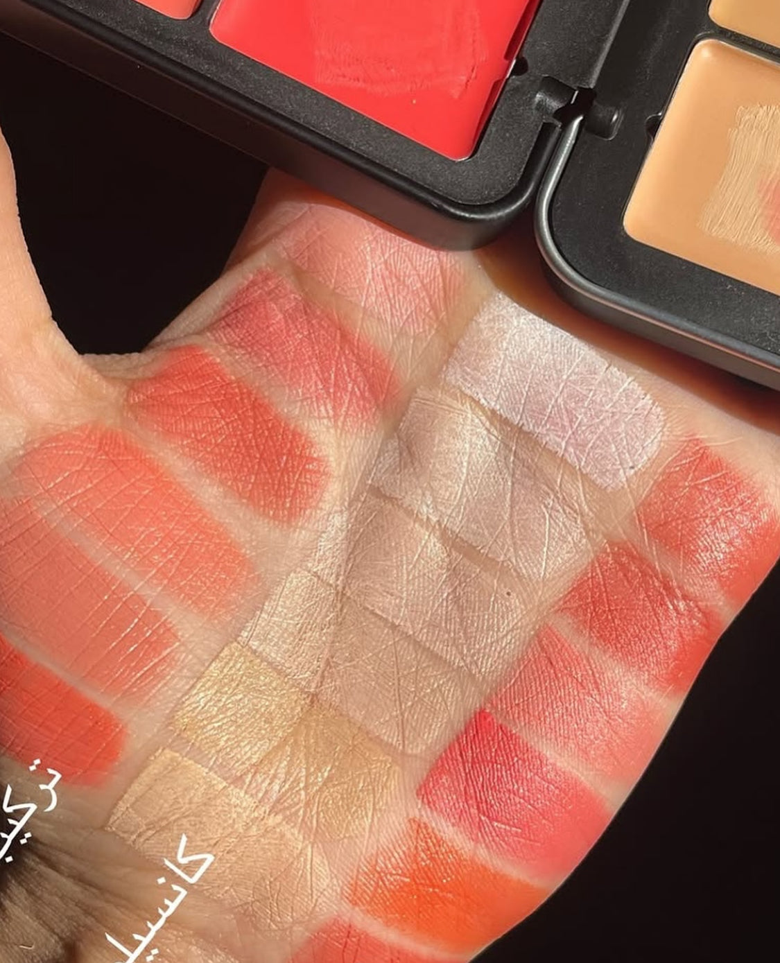 Palette Carla Secret crème 12 couleurs