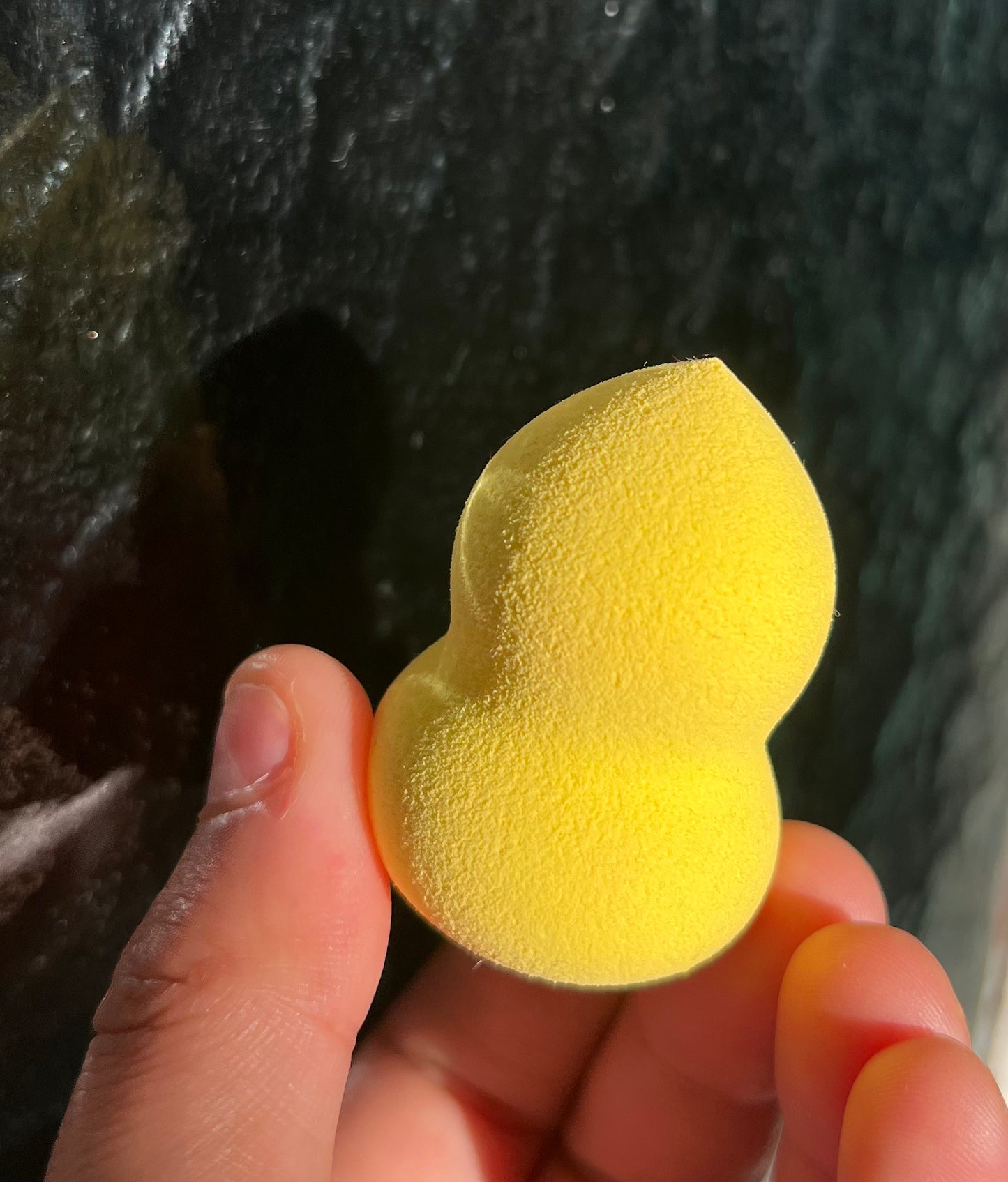 Mini Beauty Blender